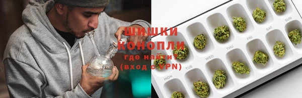 ПСИЛОЦИБИНОВЫЕ ГРИБЫ Алексеевка