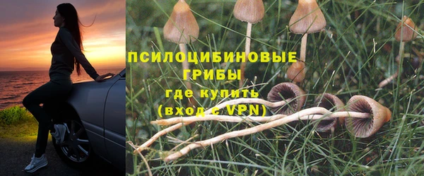 МДПВ Абаза