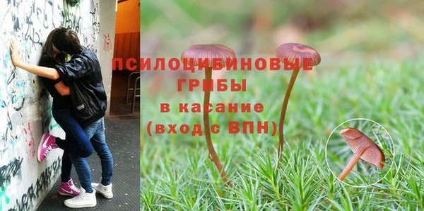 ПСИЛОЦИБИНОВЫЕ ГРИБЫ Алексеевка