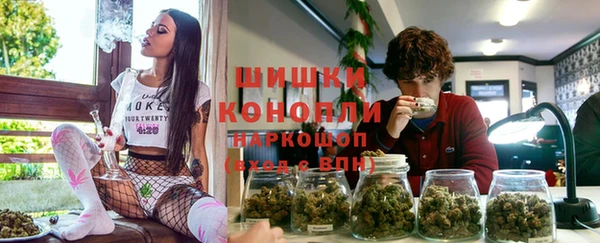 молекула духа Алзамай