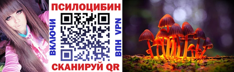 Псилоцибиновые грибы Magic Shrooms  продажа наркотиков  Пугачёв 